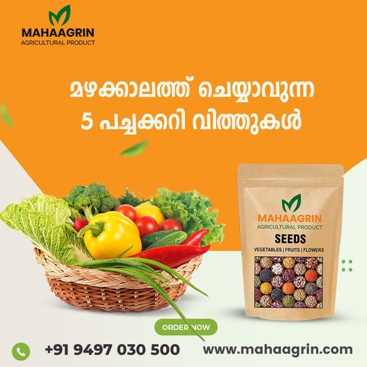 Buy Organic Seeds Online Mahaagrin