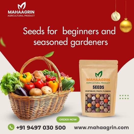 Seeds for Every Gardener: Buy Vegetable Seeds Online with Mahaagrin