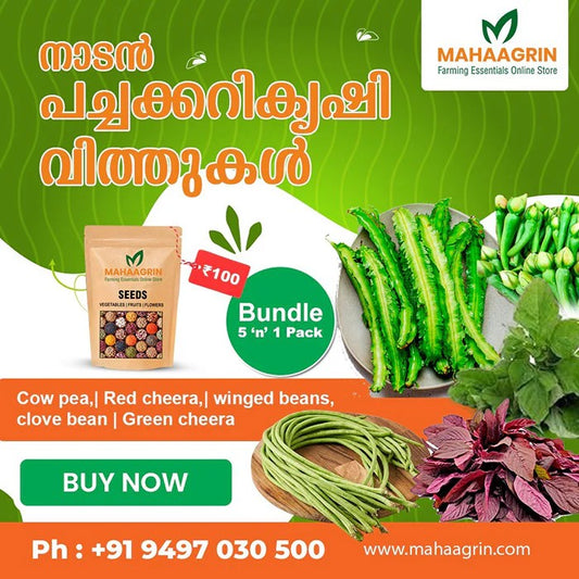 Buy 5 in 1 Bundle Seeds Online with High Germination Rate & Superior Yield vegetable seeds
