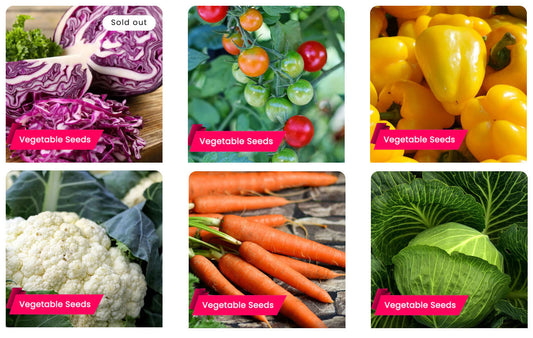 Seeds for Winter Cultivation: Buy Hybrid Vegetable Seeds Online