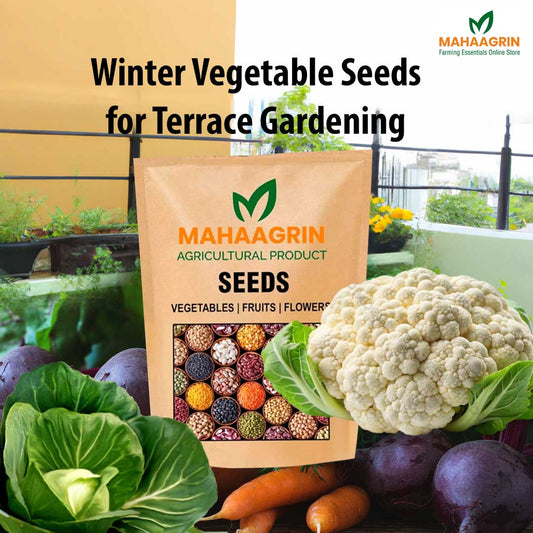 Winter Vegetable Seeds for Terrace Gardening: Buy Premium Hybrid Seeds Online