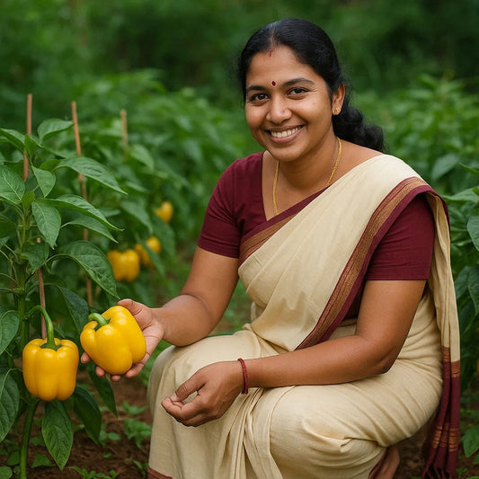 Beautify your Kitchen Garden with Bell pepper – Buy Yellow Capsicum Seeds Online