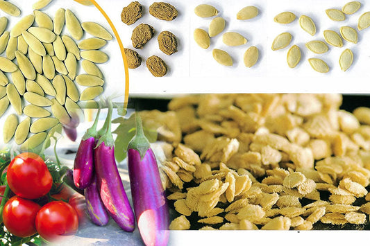 Growing Plants from Seeds at Home; Buy Seeds Online