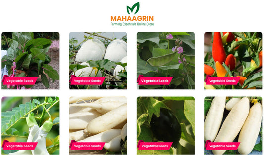 Sow it in June, Harvest it for Onam (Kerala Festival) – Buy Best 5 Vegetable Seeds Online for Onam harvest