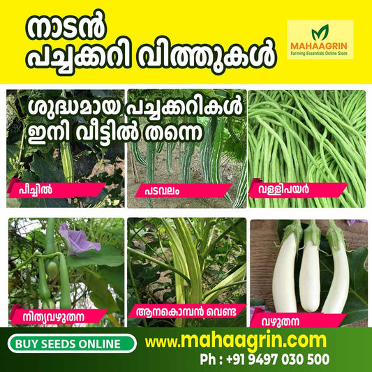 Native Vegetable Seeds Online – High Germination, Pest-Resistant, and Naturally Healthy- Buy Now