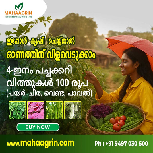 Unlock Higher Yields -Rainy-season-vegetable-cultivation - Buy -premium-quality-seeds