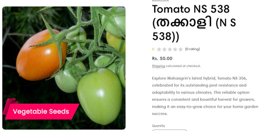 5 Tips to Get the Best Tomato Yield – Buy Best Tomato Seeds Online