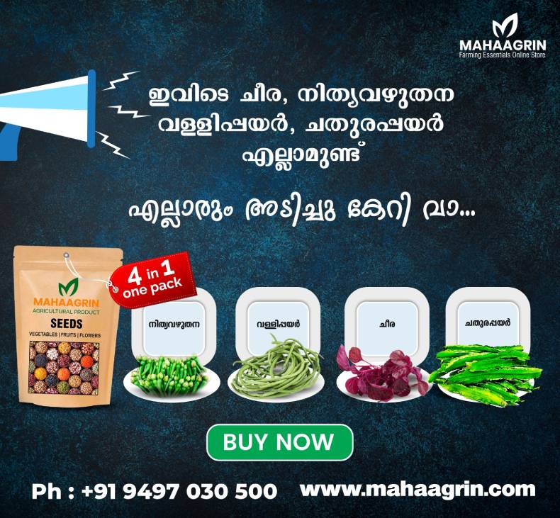 Monsoon Special Vegetable Seed Bundle
