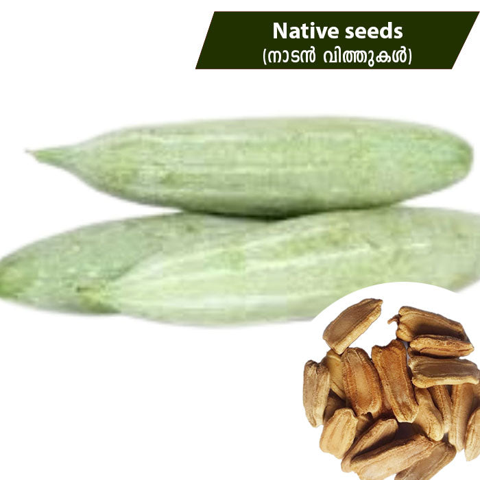 Snake Gourd (നാടൻ പടവലം) Native Seeds