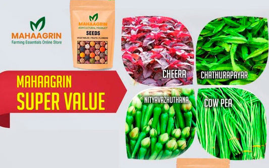5 Native Vegetable Seeds That Can Be Grown in Rainy Season – Buy Premium Nadan (Native) Seeds Online