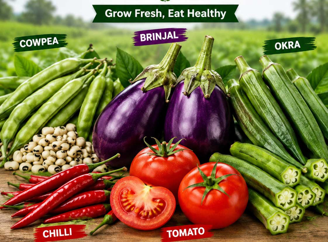 5 Vegetable Seeds That Can Be Cultivated in Grow Bags During Rainy Season – Buy Seeds Now