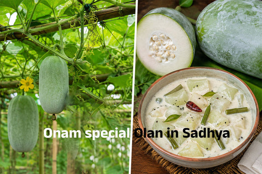 Onam Special Olan Curry: Grow Ash Gourd at Home – Buy Seeds Online