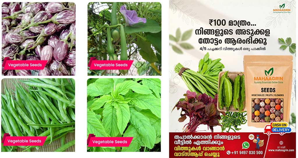 Cultivate now for best Yields This Monsoon with Premium Vegetable Seeds – Buy Seeds Online