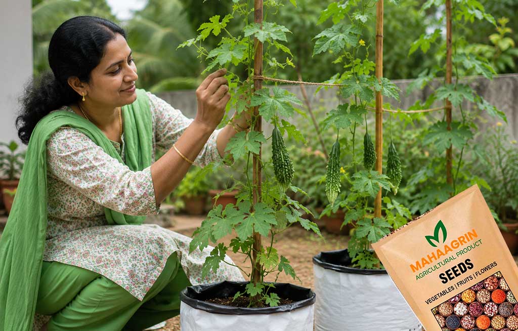 Grow Pure Bitter Gourd Easily at Home with High-Germination Seeds | Buy Bitter Gourd Seeds Online