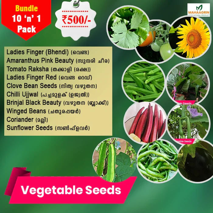 10 Vegetables to Grow in June – Buy Premium Quality Seeds Online for Rainy Season Cultivation