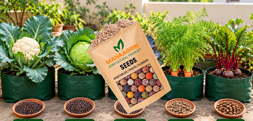Buy the Best 5 Winter Vegetable Seeds for Easy Cultivation