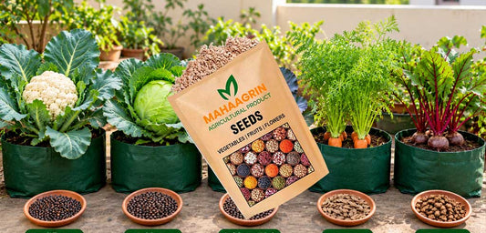 Buy the Best 5 Winter Vegetable Seeds for Easy Cultivation