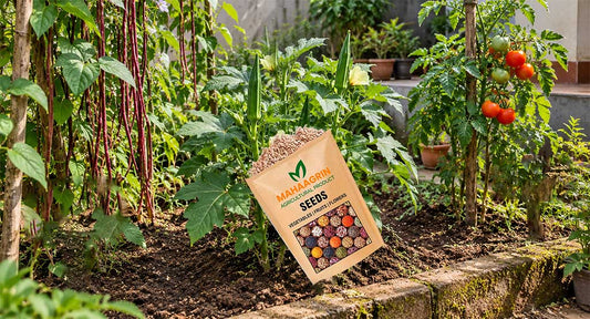 Grow Pure Naadan Cow Pea in Your Kitchen Garden-Buy Red Cow Pea Seeds Online