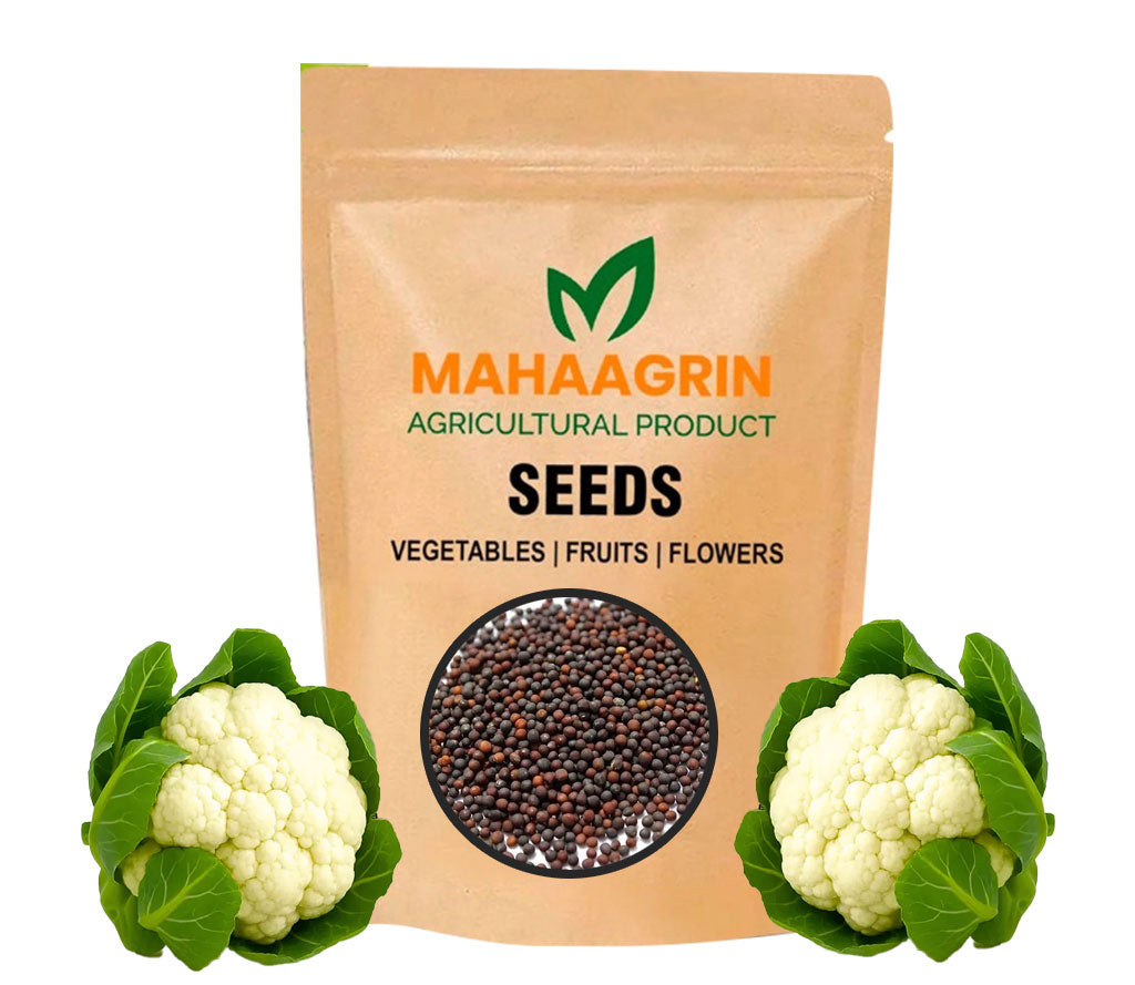 5 Reasons for Successful Cultivation of Cauliflower in Kerala Soil – Buy Cauliflower Seeds Online