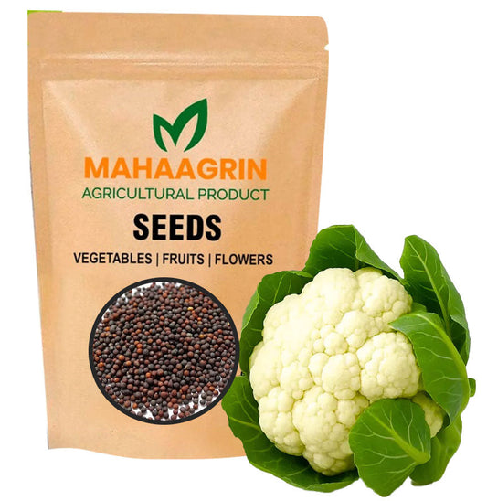 Cauliflower cultivation – Hybrid Variety seeds for ordinary soil; Buy Seeds Online