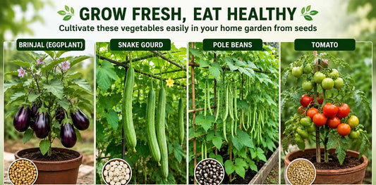 Monsoon Gardening Made Easy – Low Maintenance, High Yield; Buy Seeds Now