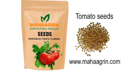 Hybrid Tomato Variety Rakshak for High Yield – Buy Tomato Rakshak Seeds Online