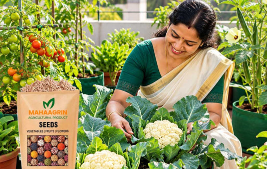 Grow Fresh Cauliflower This Winter in Any Soil – Buy Quality Seeds Online