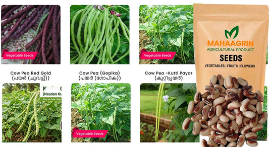 Easy to Cultivate Vegetable Seeds for Onam Cultivation – Buy Seeds Now
