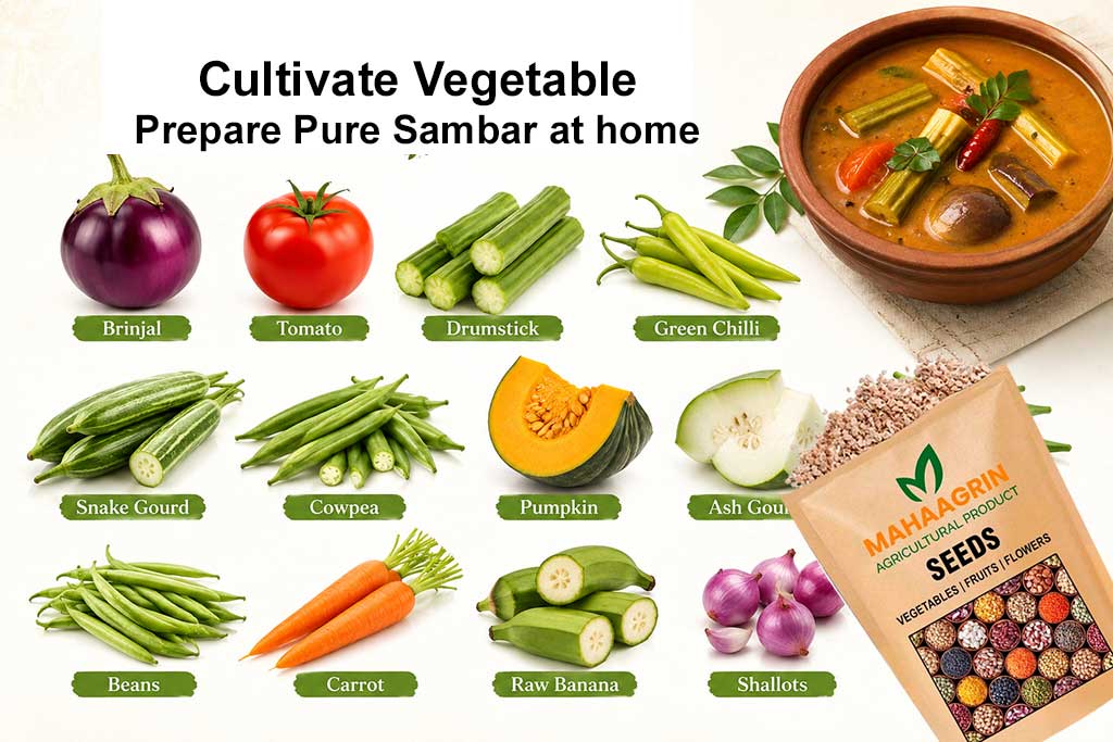 Prepare Onam Sambar at Home with Freshly Grown Vegetables – cultivate Vegetables at home