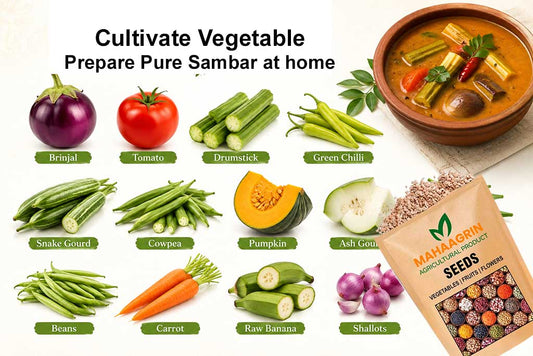 Prepare Onam Sambar at Home with Freshly Grown Vegetables – cultivate Vegetables at home