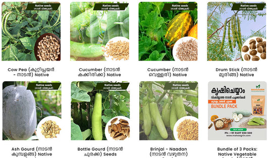 Native vegetable seeds with high pest resistance, buy seeds online