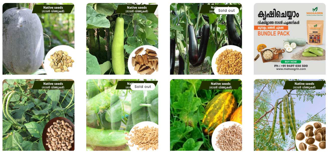 Top 5 Native Vegetable Seeds to Grow During Vishu! Buy Seeds Online