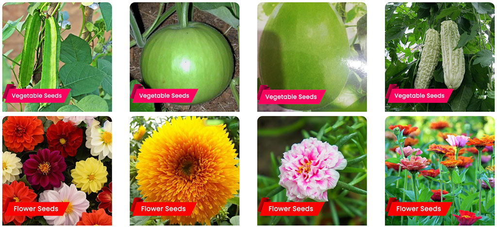 Onam Special: Grow Local Vegetables and Flowers from Premium Seeds – Buy Seeds