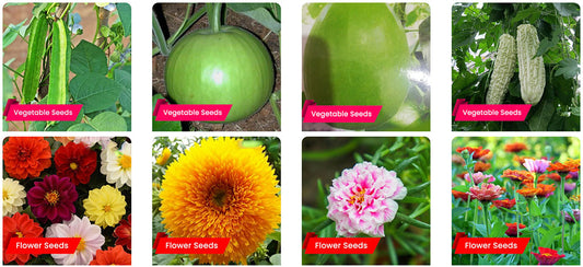 Onam Special: Grow Local Vegetables and Flowers from Premium Seeds – Buy Seeds