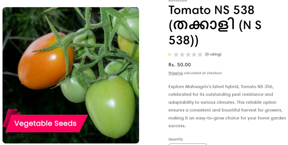 5 Tips to Get the Best Tomato Yield – Buy Best Tomato Seeds Online