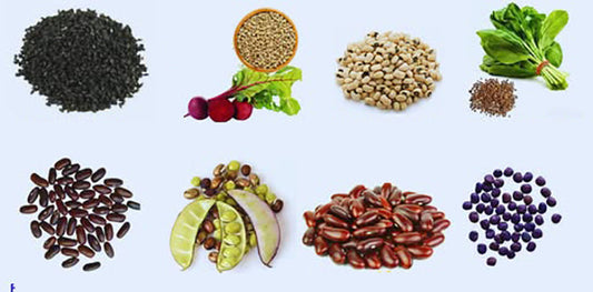 October–November : The Prime Planting Time for Better Yield and Quality ; Buy Premium Vegetable Seeds