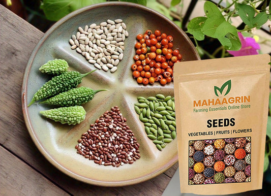 The Incredible Benefits of Kitchen Gardening: Start with Quality Vegetable Seeds