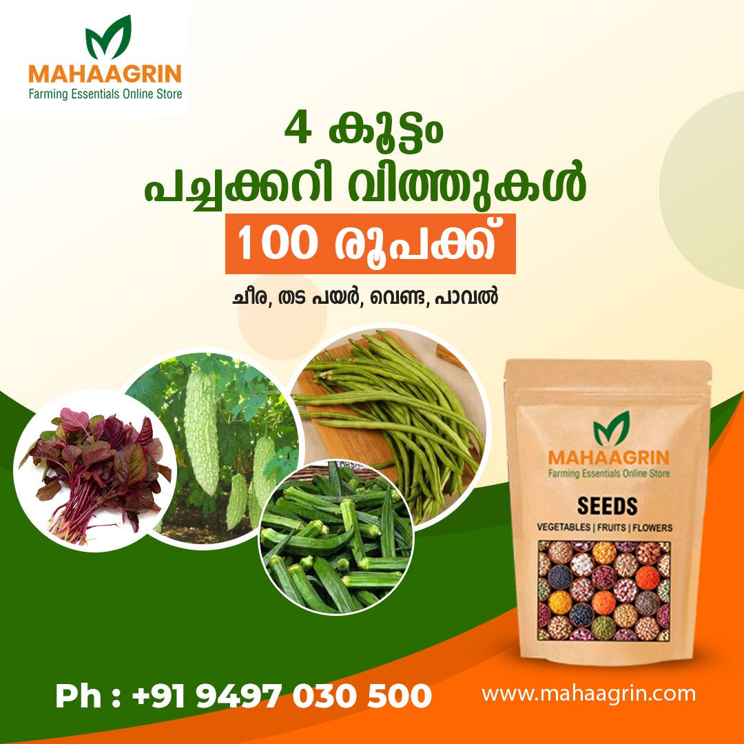 Bundle 4 'n' 1 Pack - Native Vegetable Seeds (നാടൻ പച്ചക്കറി വിത്തുകൾ)