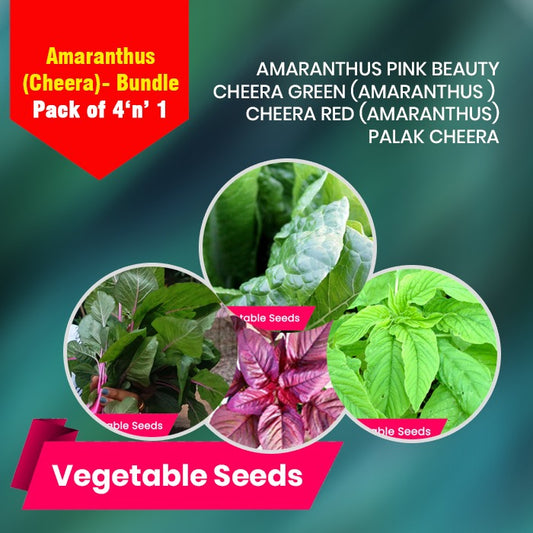 Amaranthus Bundle 4 'n' 1 Pack