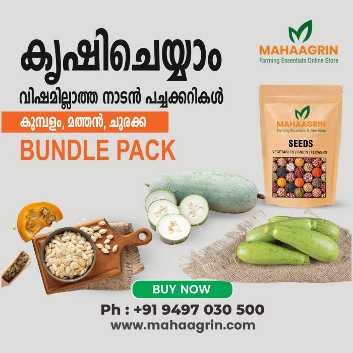 Bundle of 3 Packs: Native Vegetable Seeds (നാടൻ പച്ചക്കറി വിത്തുകൾ)