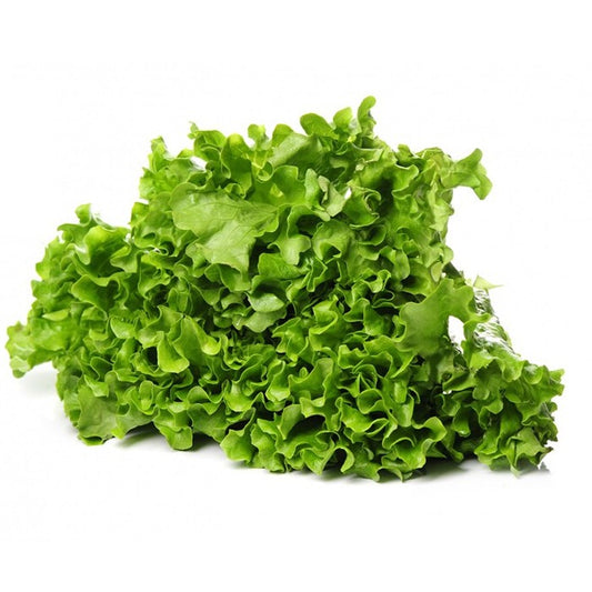 Lettuce