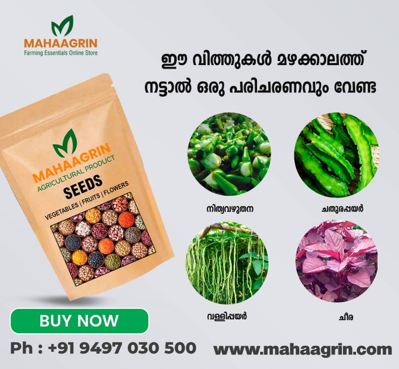 Monsoon Special Vegetable Seed Bundle