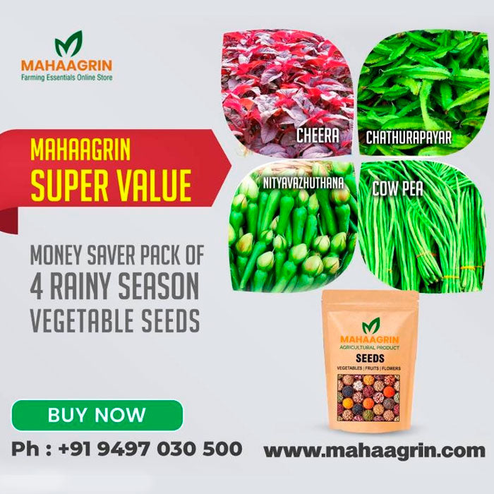 Monsoon Special Vegetable Seed Bundle