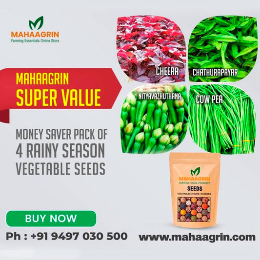 Monsoon Special Vegetable Seed Bundle