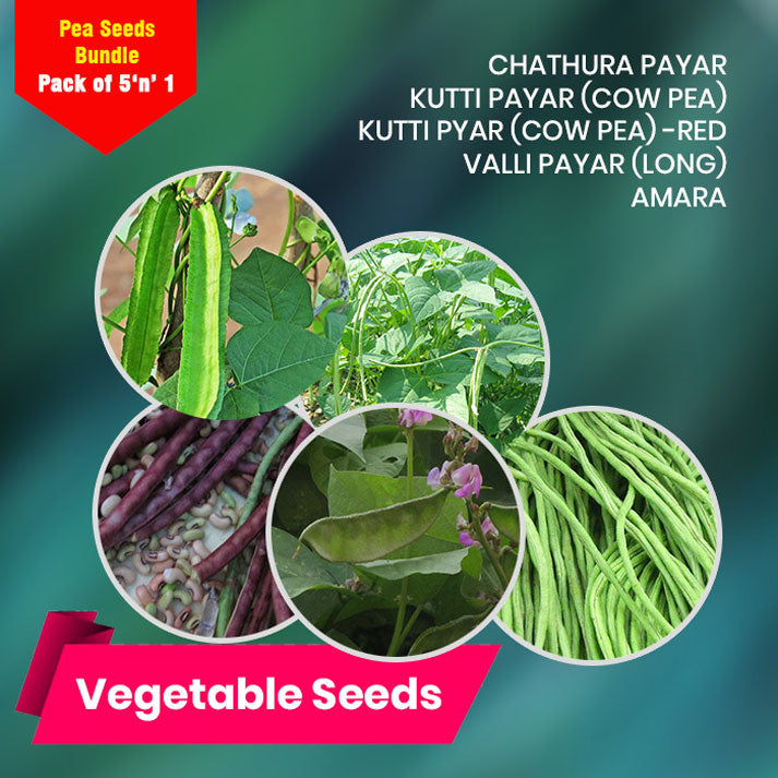 Pea Seeds Bundle 5 'n' 1 Pack