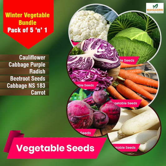 Winter Vegetable Bundle 5 'n' 1 Pack