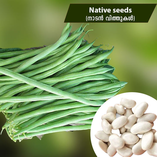 Vally Beans (വള്ളി ബീൻസ്) Native Seeds